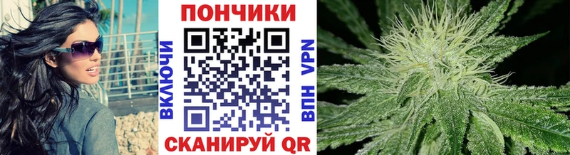 Бошки марихуана сатива  даркнет сайт  Тырныауз 